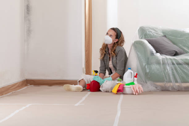 Reliable Basement Mold Remediation contractor in Ottsville, PA by Car Mold Remediation